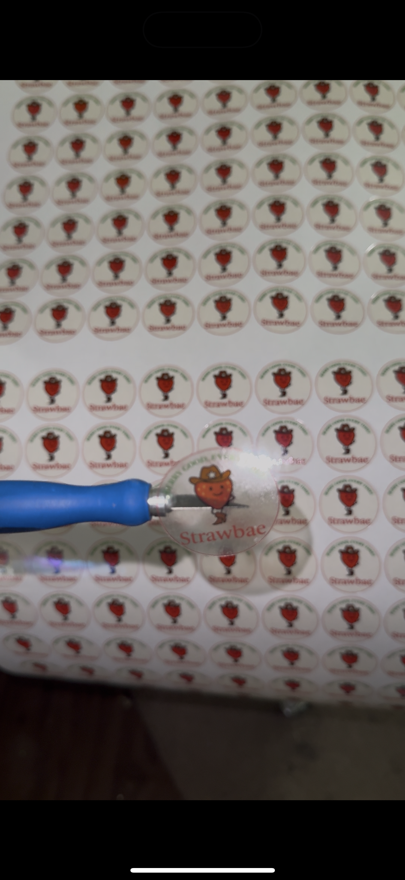 Clear Stickers